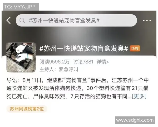 足球球星模型盲盒创意设计与市场趋势分析解析